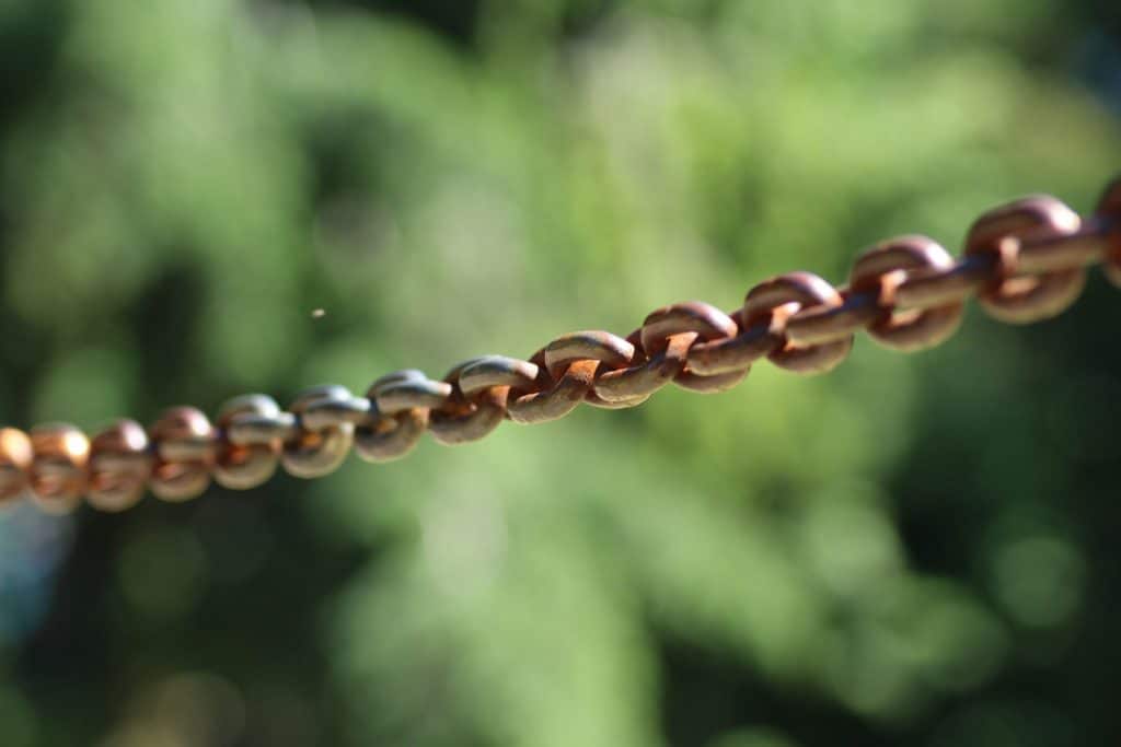 Umbilical cord jewelry | Chain