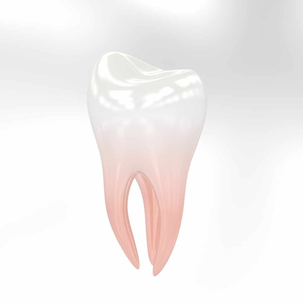 Zahnschmuck | Zahn